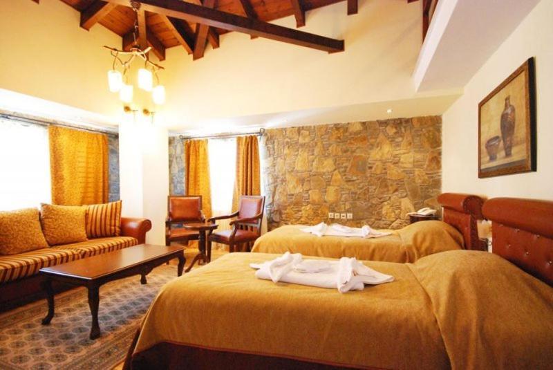 Vasilitsa Spa Resort Grevena Quarto foto